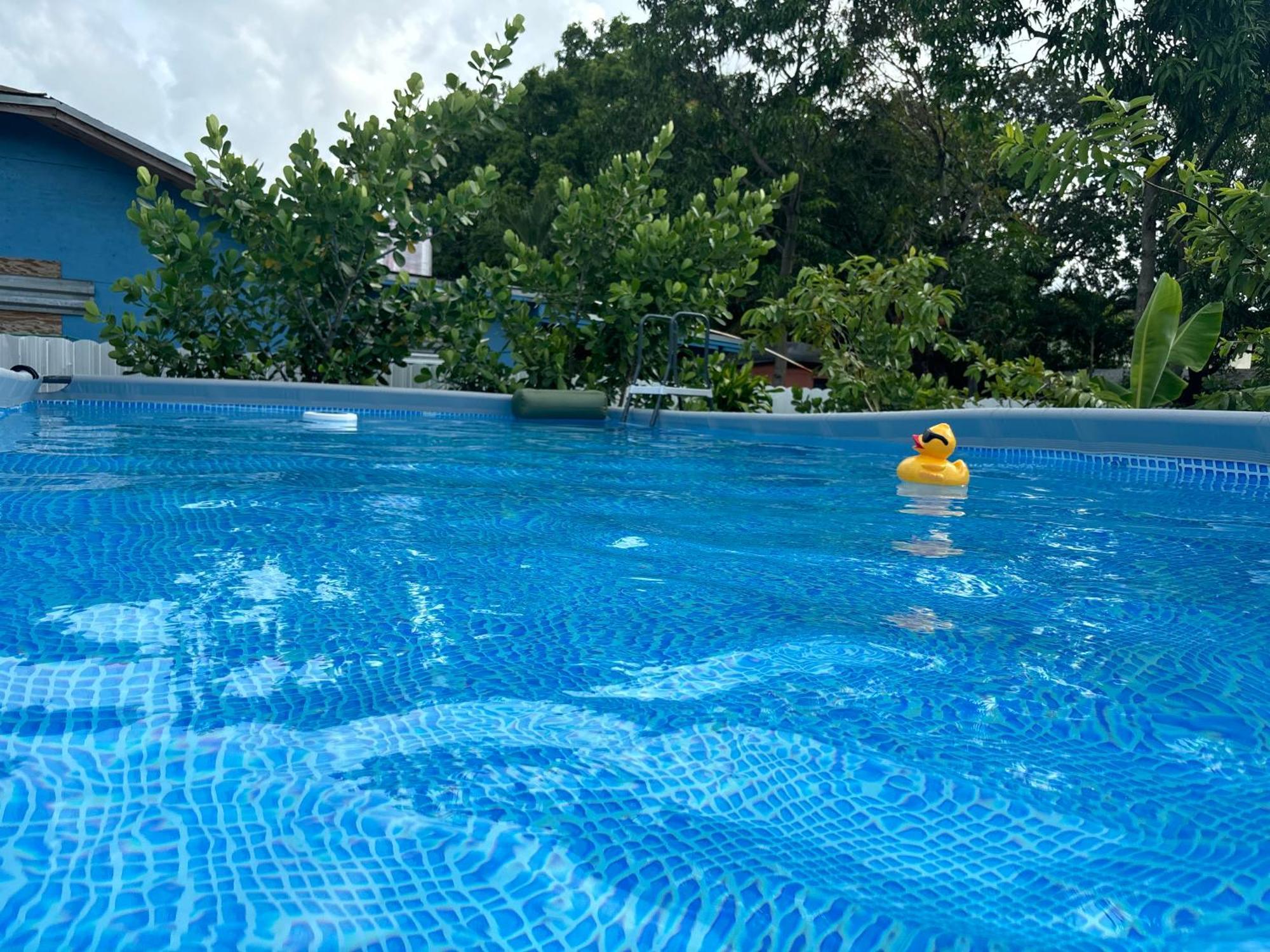 Hotel Mini House Oasis Miami Springs Exterior foto